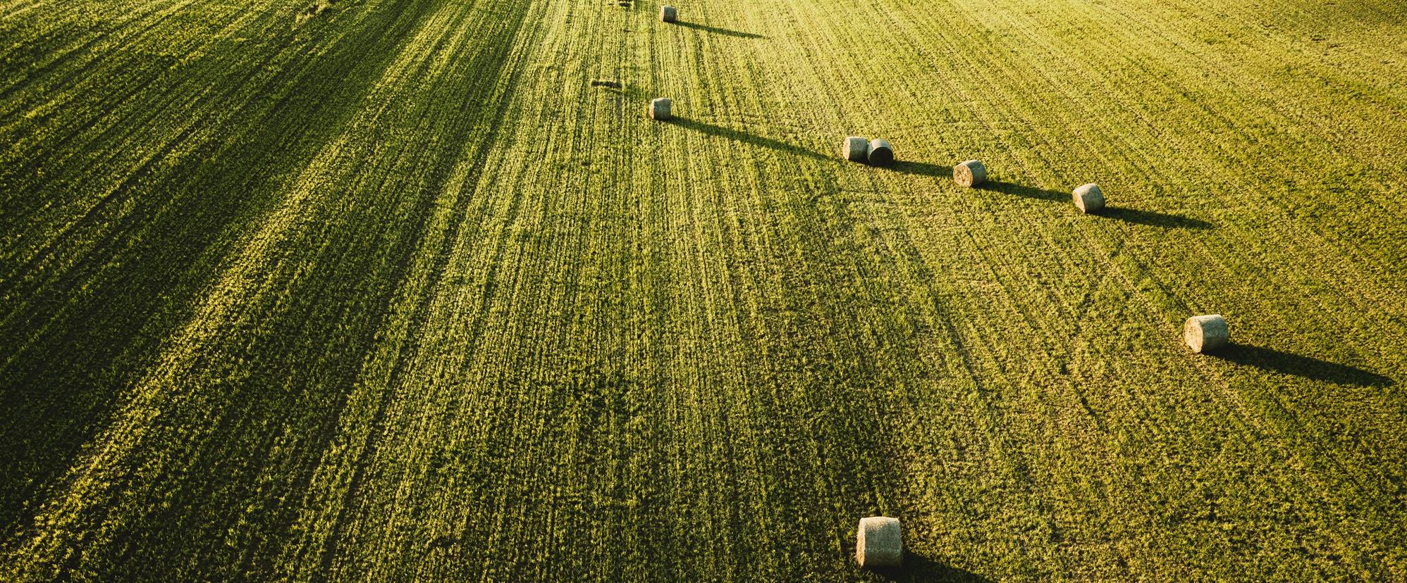 Ingeniería Agrícola Rieiro